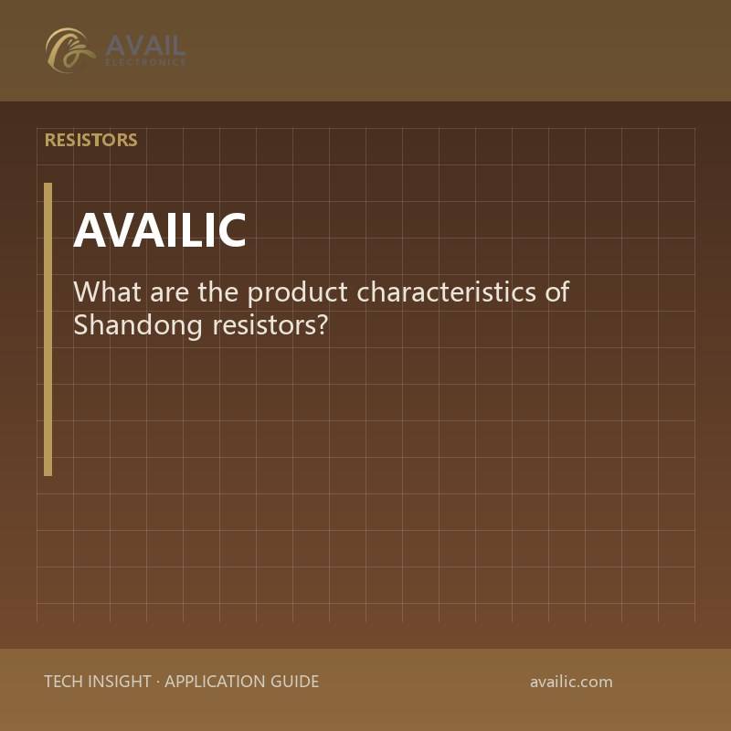 What are the product characteristics of Shandong resistors?