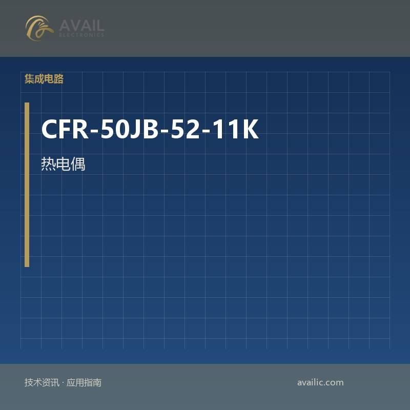 热电偶的应用开发，CFR-50JB-52-11K的温度探针：关键技术和成功案例